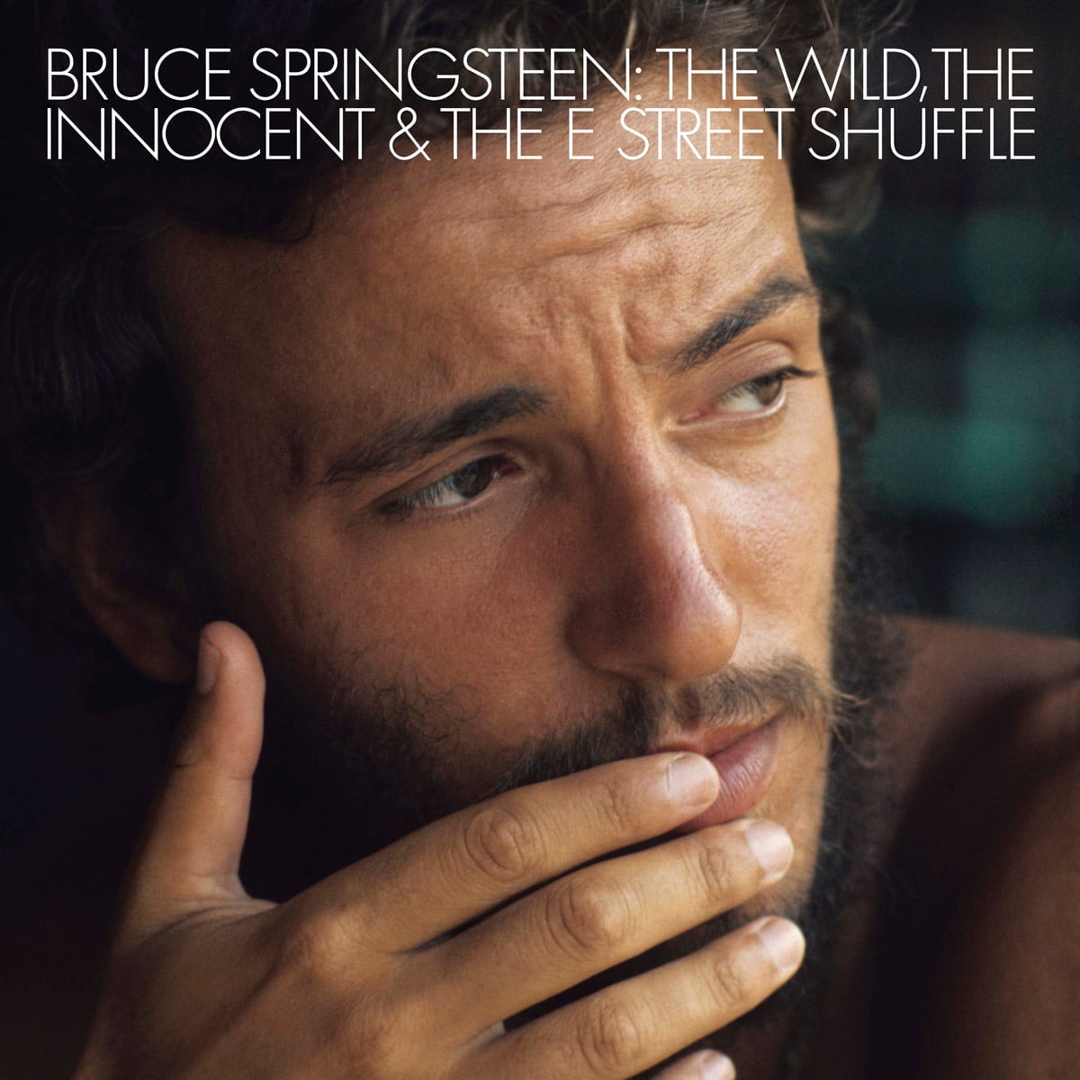 The Wild, The Innocent, And The E Street Shuffle